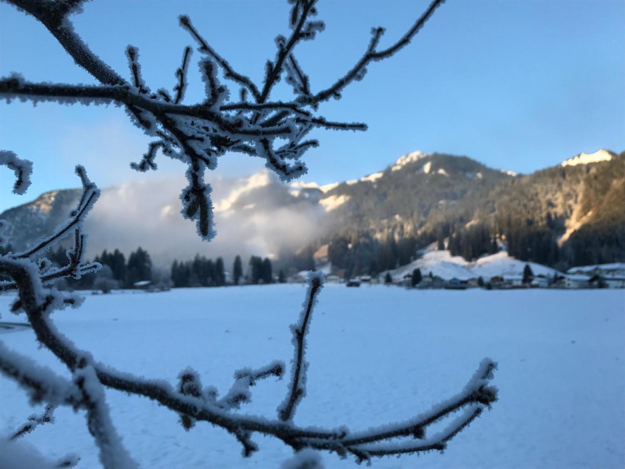 Hotel Pension Talblick In Waengle Bei Reutte Exteriér fotografie