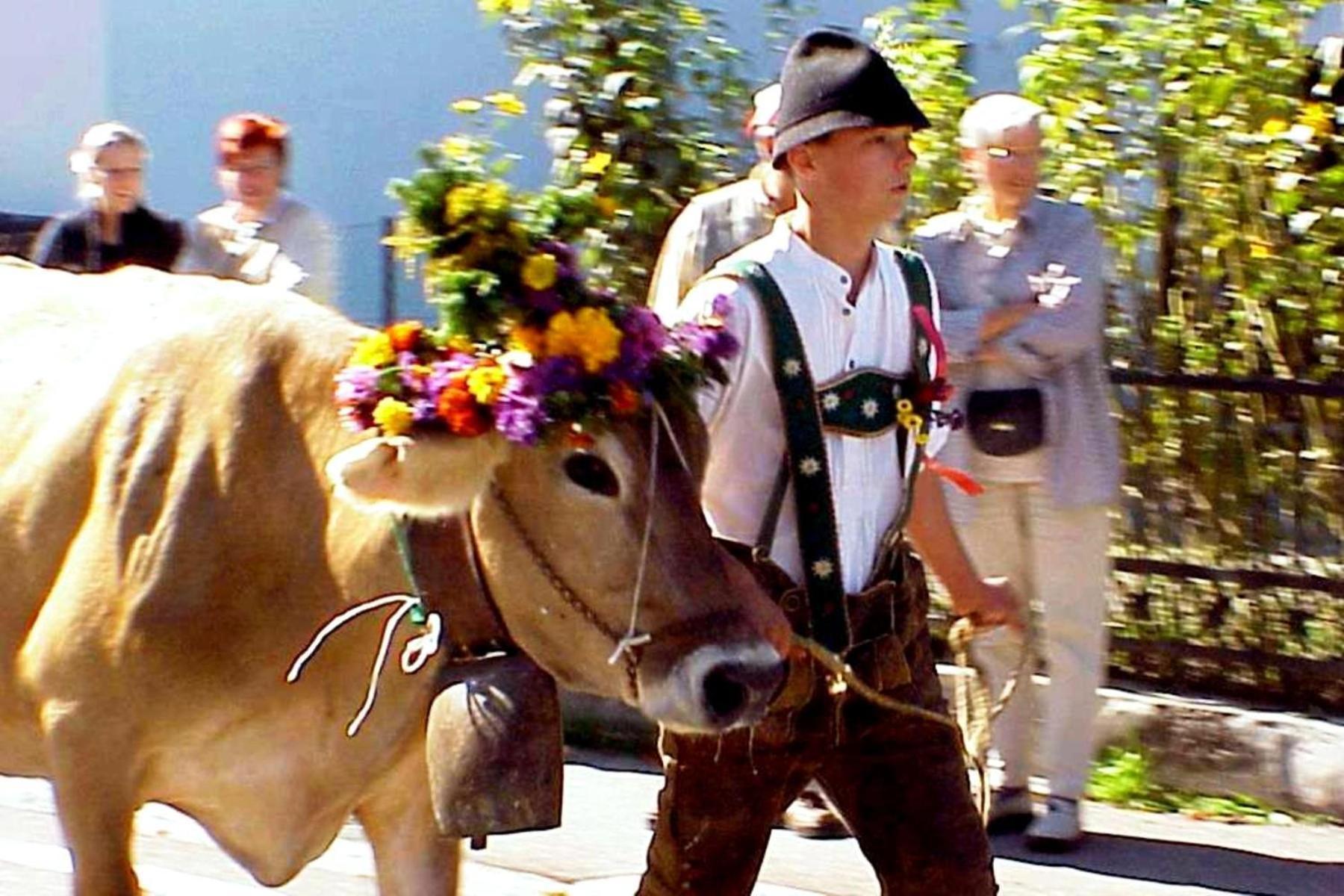 Hotel Pension Talblick In Waengle Bei Reutte Exteriér fotografie